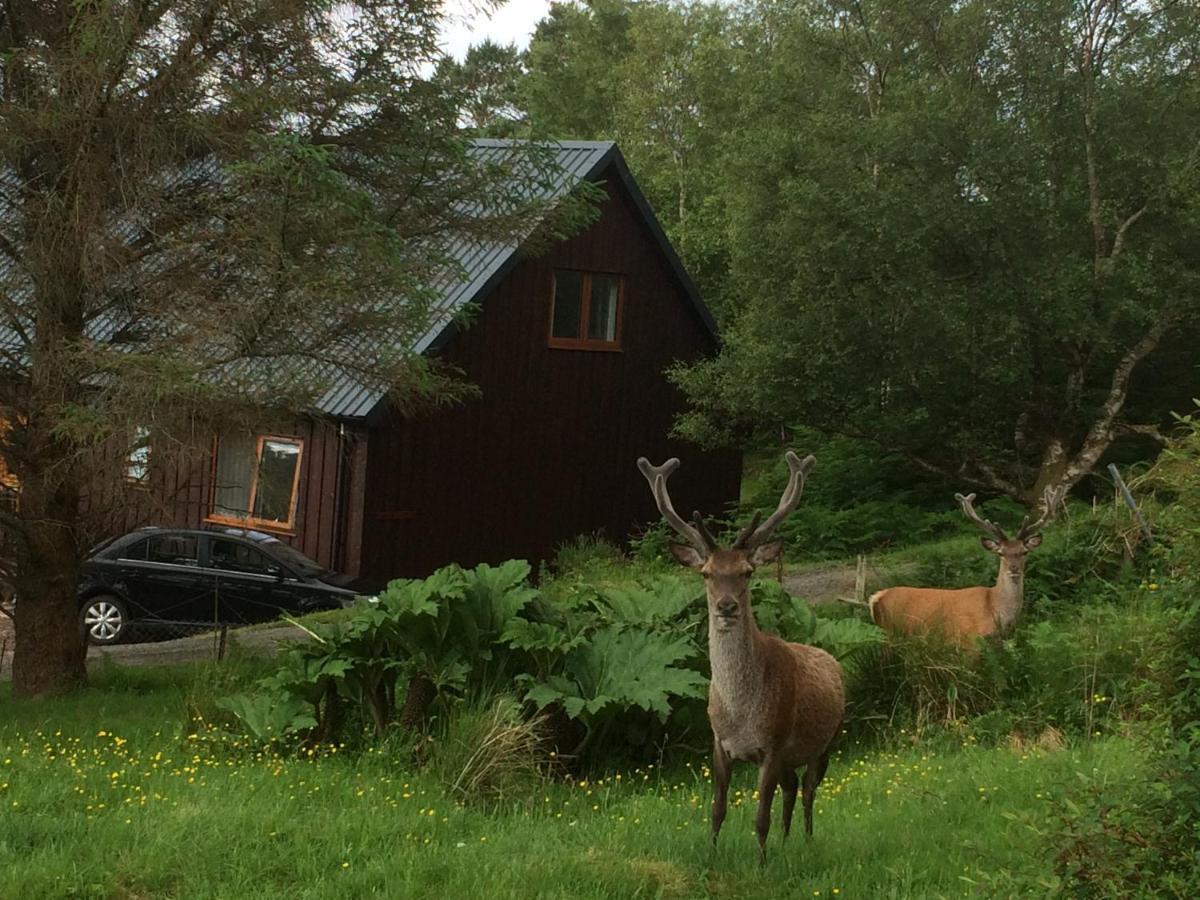 Bonnie Haven Bed & Breakfast Lochinver
