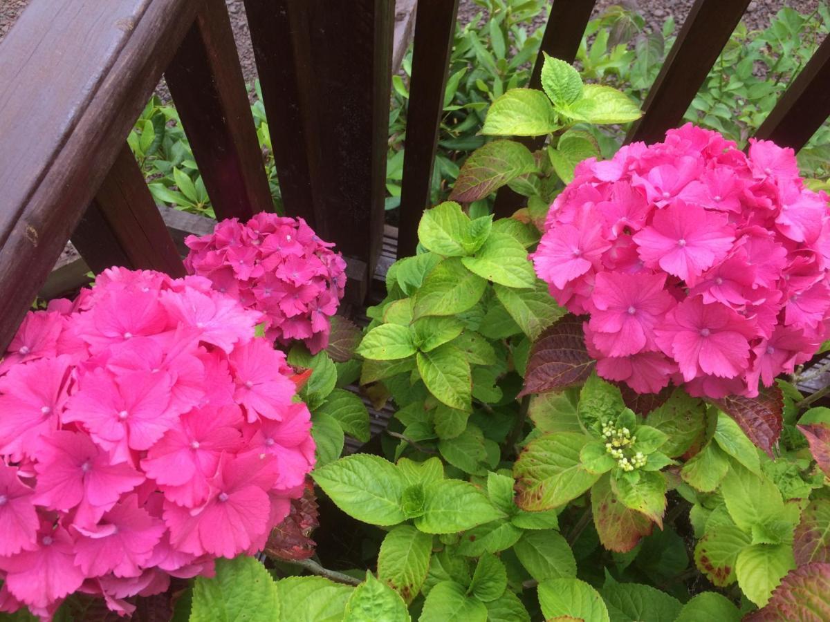 Bonnie Haven Bed & Breakfast